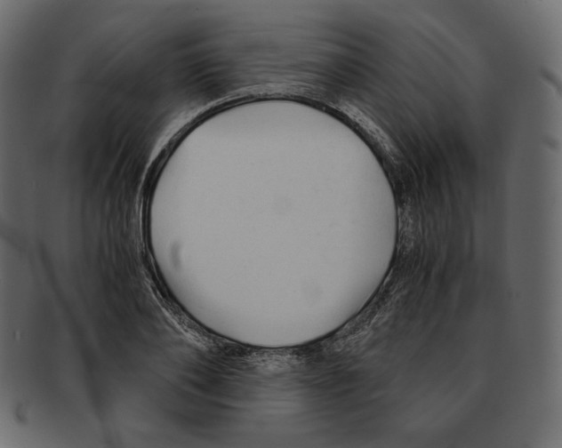 X0000091920886200710031037