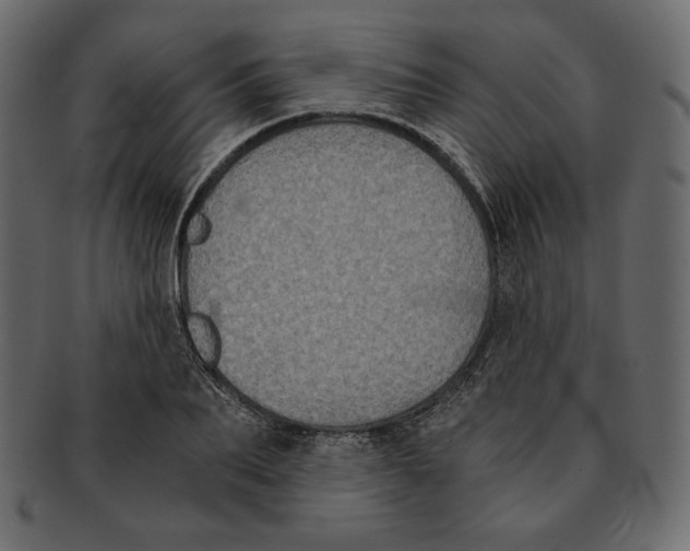 X0000091920887200710031037