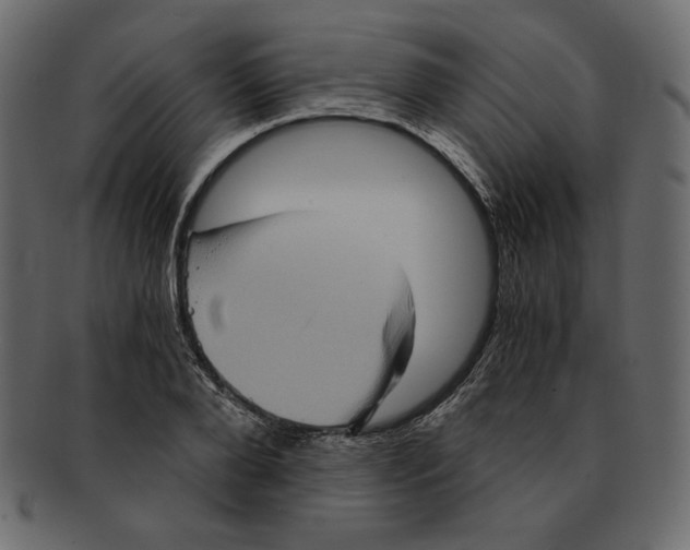 X0000091920888200710031037