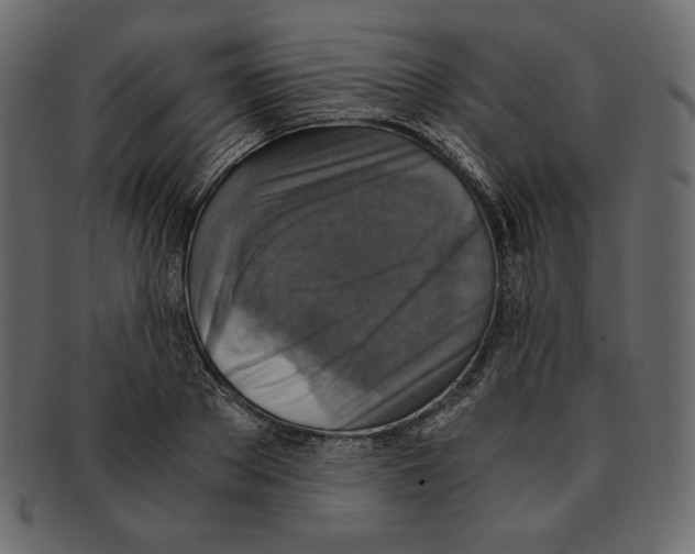X0000091920889200710031037