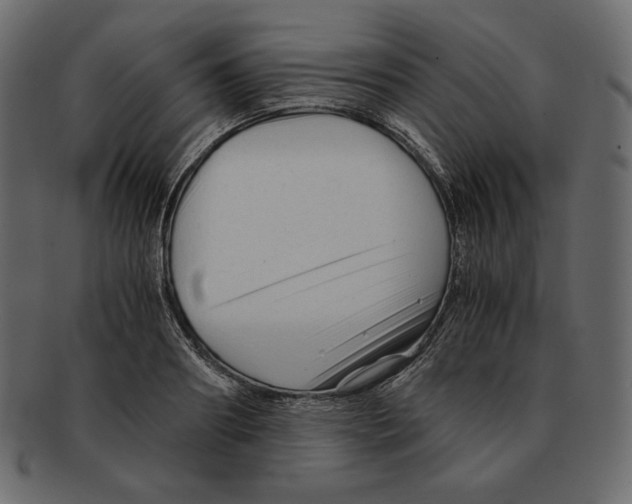 X0000091920890200710031037