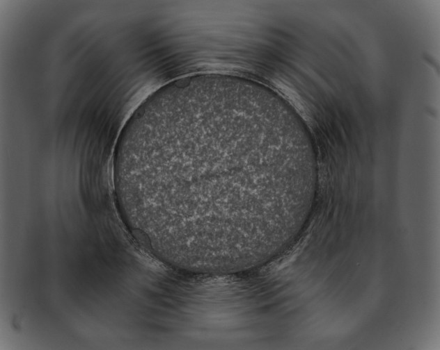 X0000091920891200710031037