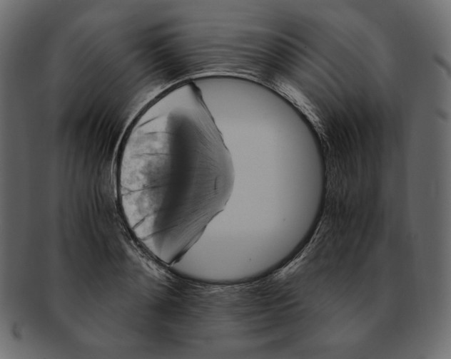 X0000091920892200710031037