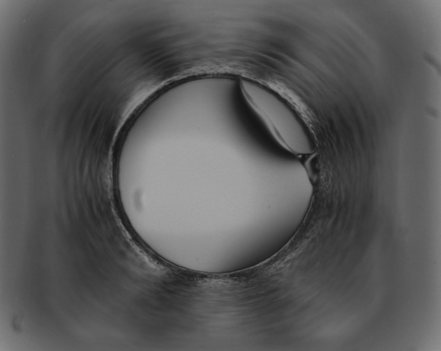 X0000091920894200710031037