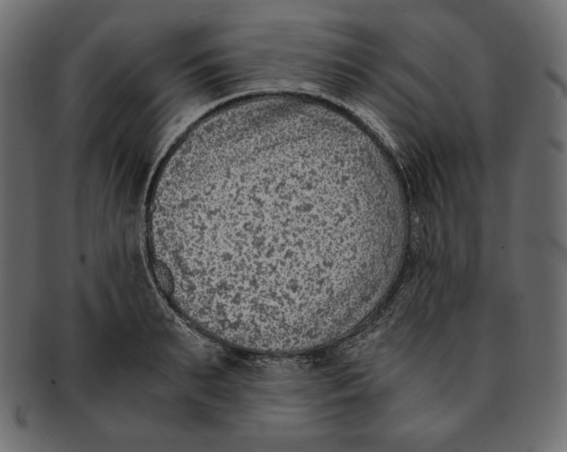 X0000091920895200710031037