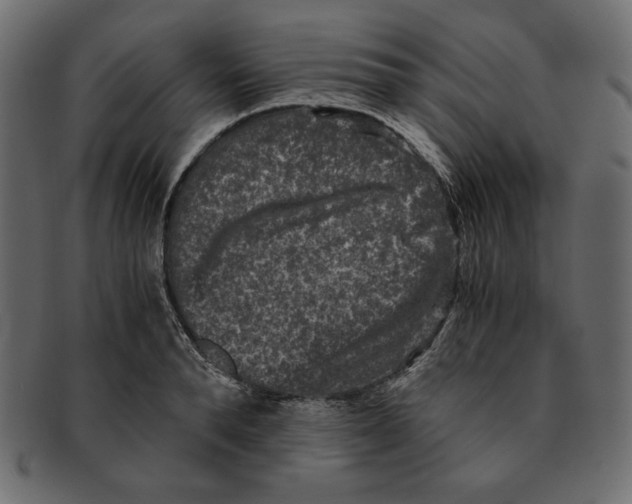 X0000091920896200710031037