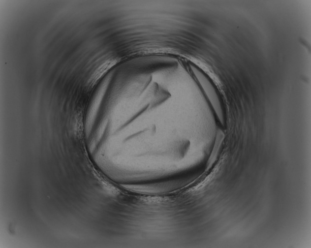 X0000091920897200710031036