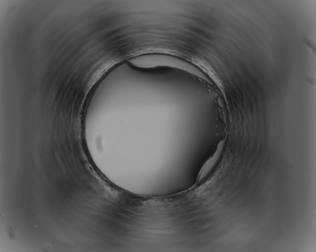X0000091920898200710031036