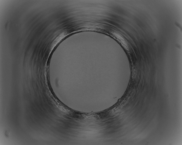 X0000091920899200710031036