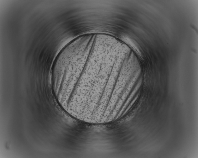 X0000091920900200710031036