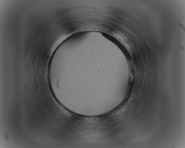 X0000091920901200710031036