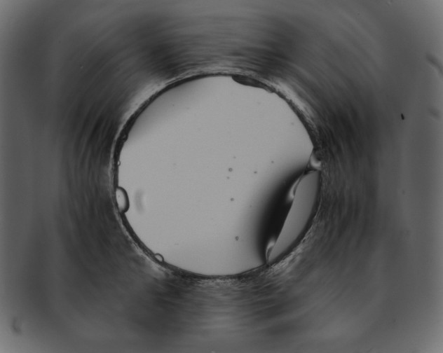 X0000091920902200710031036