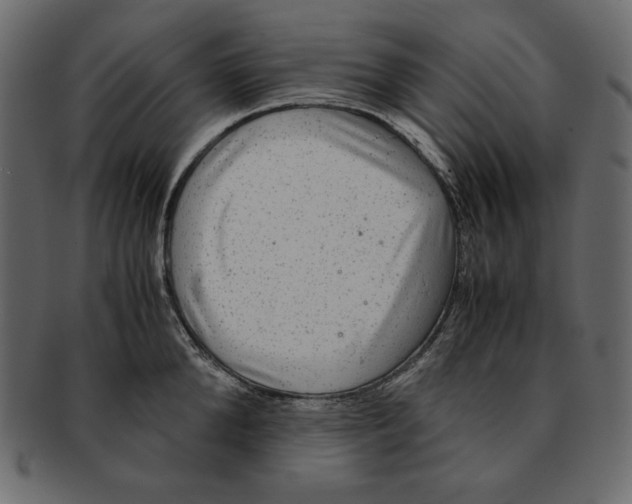 X0000091920904200710031036