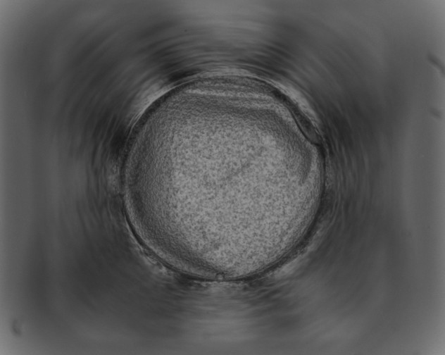 X0000091920905200710031036