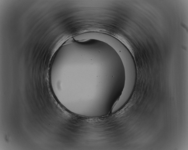 X0000091920906200710031036