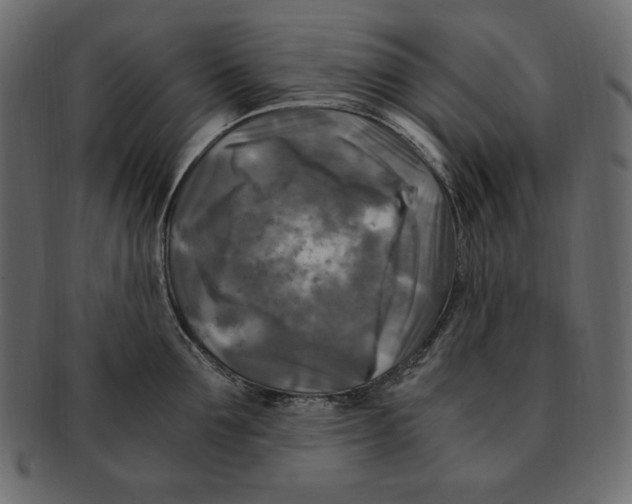 X0000091920907200710031036