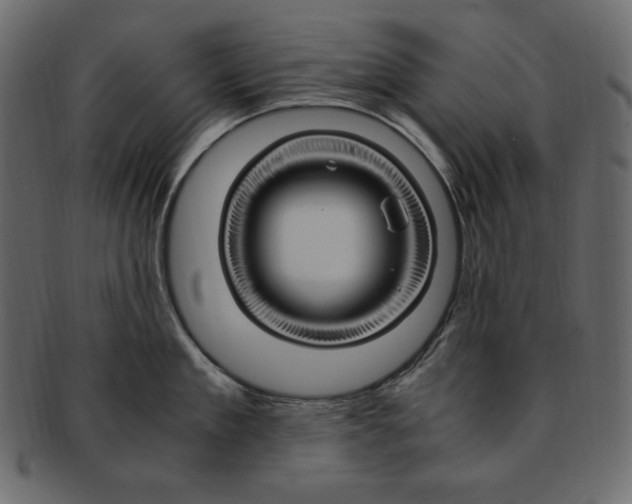 X0000091920909200710031036