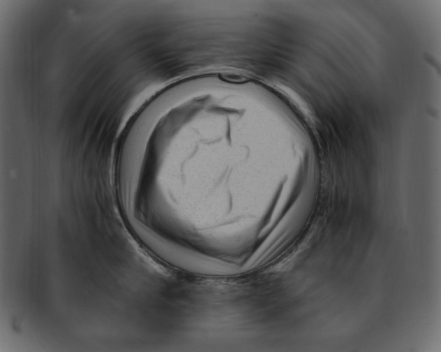 X0000091920910200710031036