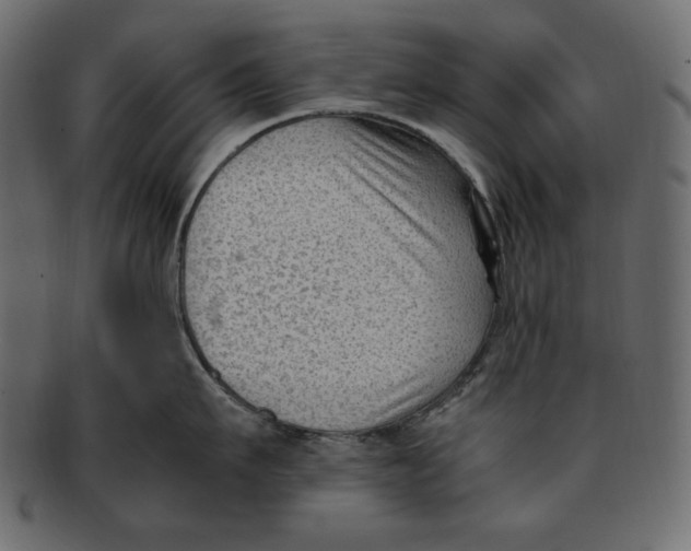 X0000091920911200710031036