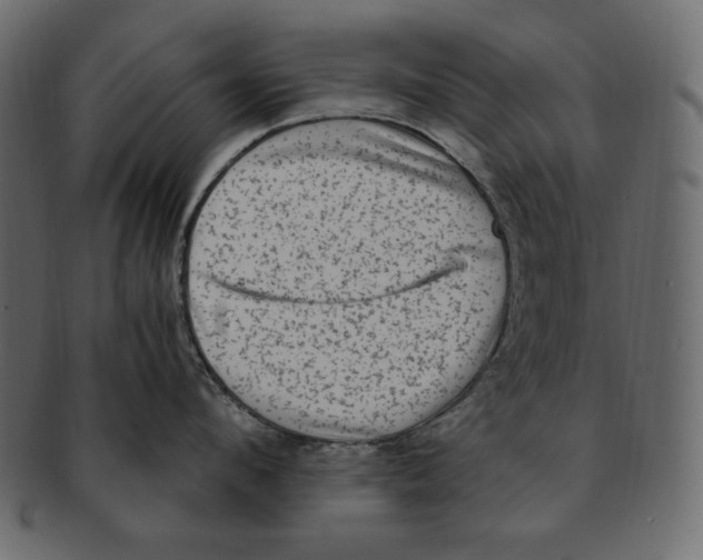 X0000091920912200710031036