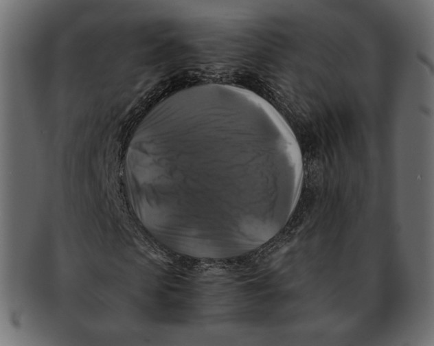 X0000091920913200710031036