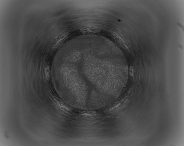 X0000091920915200710031036