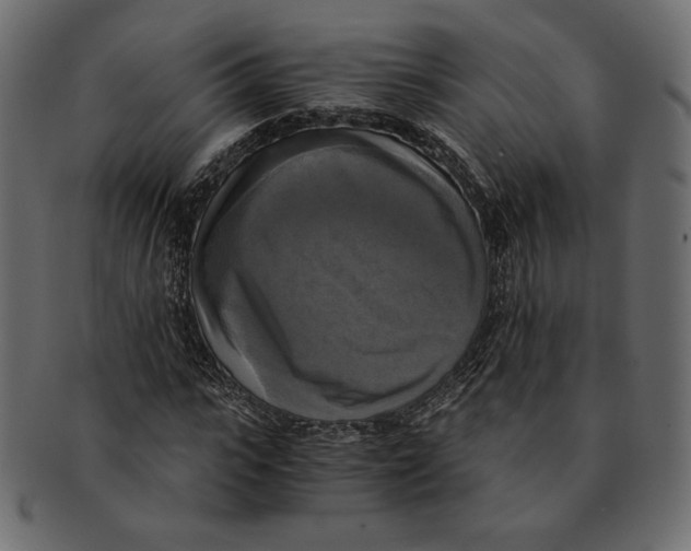 X0000091920919200710031036