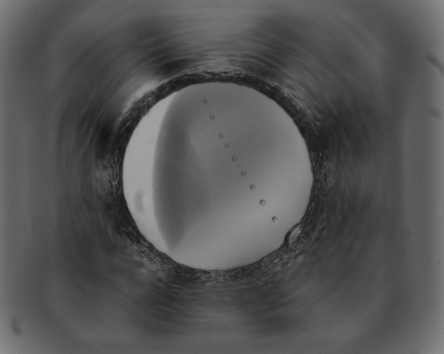 X0000091920920200710031036