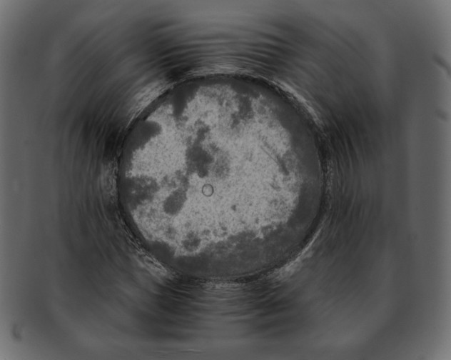 X0000091920921200710031036