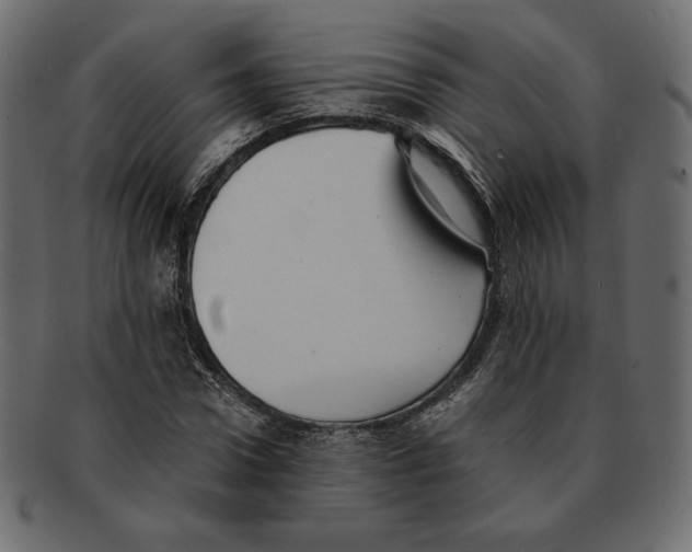 X0000091920922200710031036