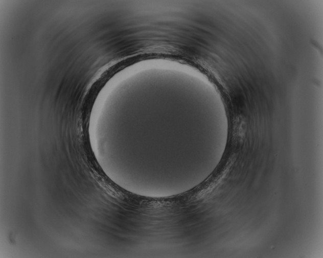 X0000091920923200710031036