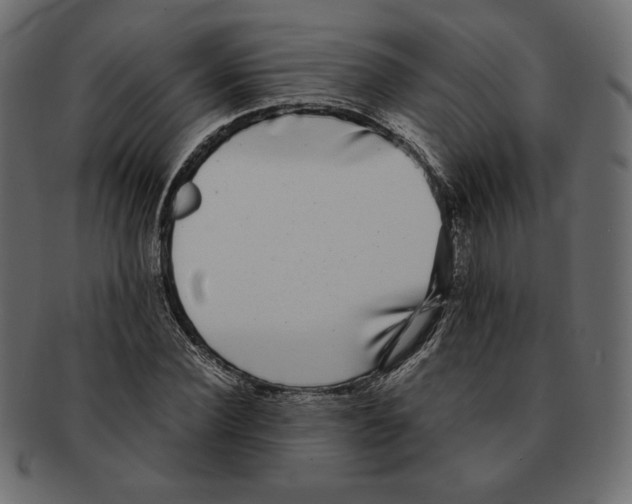 X0000091920924200710031036