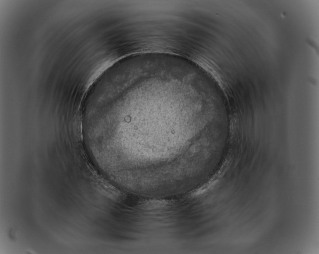 X0000091920925200710031036