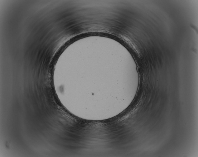 X0000091920926200710031036