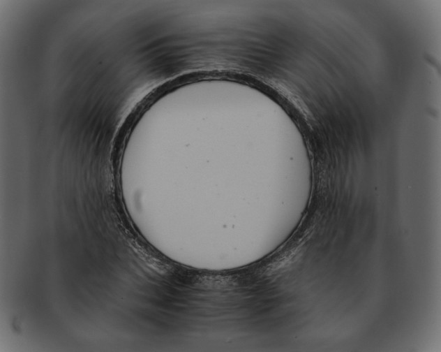 X0000091920927200710031036