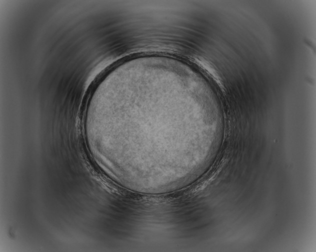 X0000091920928200710031036