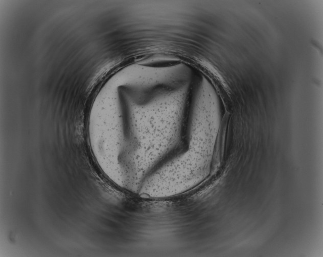 X0000091920930200710031036