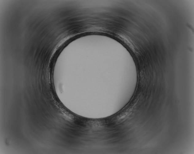X0000091920931200710031036