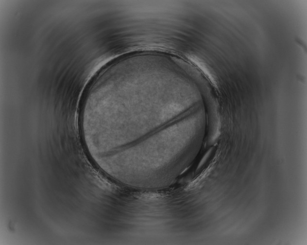X0000091920932200710031036