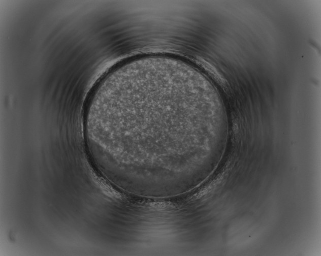 X0000091920934200710031036