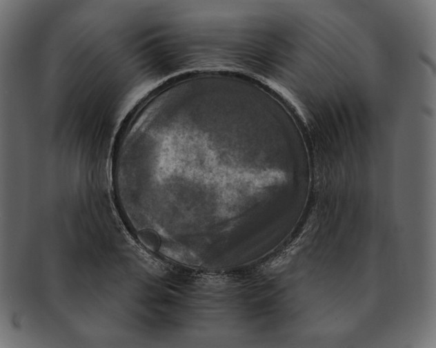 X0000091920935200710031036