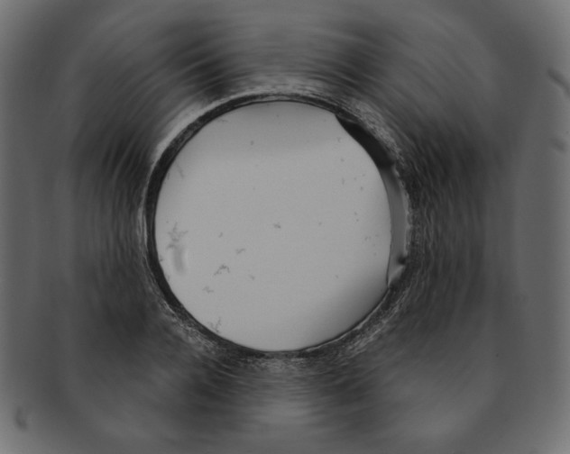 X0000091920936200710031036