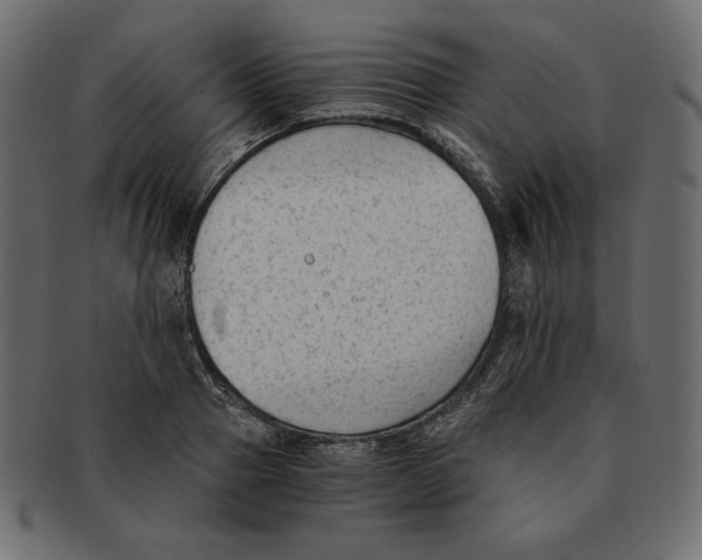 X0000091920937200710031036