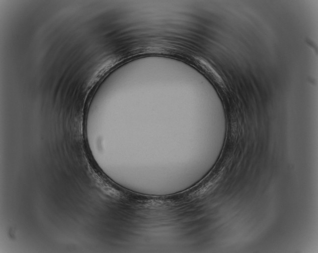 X0000091920938200710031036