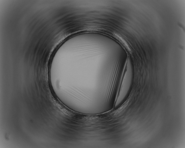 X0000091920939200710031036
