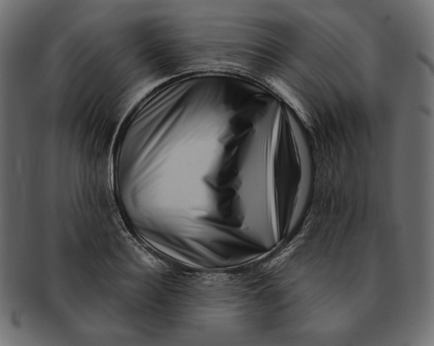 X0000091920940200710031036
