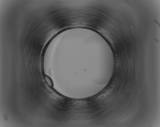 X0000091920941200710031036