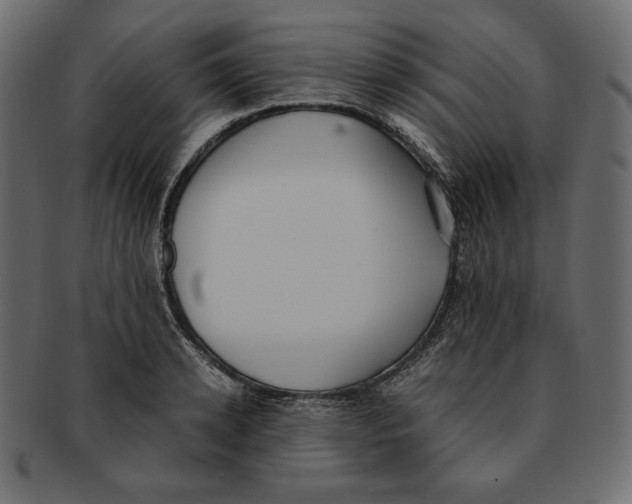 X0000091920942200710031036