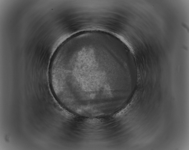 X0000091920943200710031036