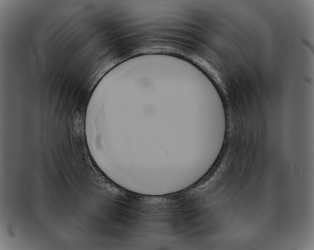 X0000091920945200710031036